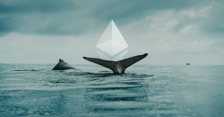 Ethereum Whales: Understanding the Giants of the Crypto Ocean